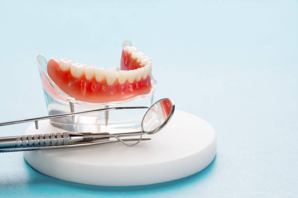 Professional  Holistic Dental Services in Poplar Plains, CT